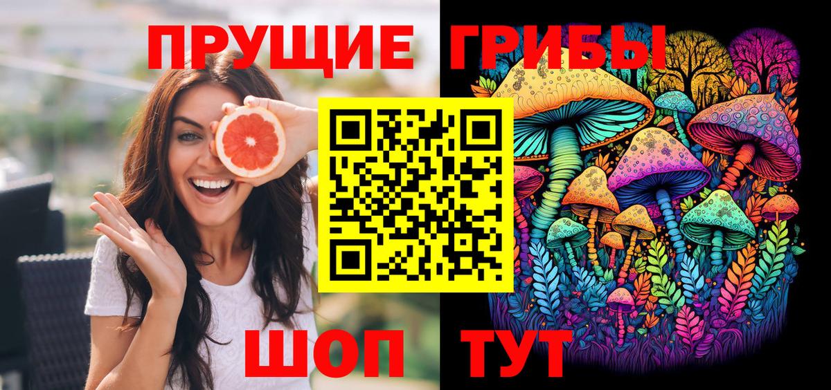 Заволжье  Галлюциногенные грибы Psilocybe  Вход с VPN 